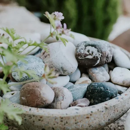 Avgoustis Βίλα *